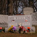 Donald Groves Photo 17