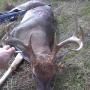 Jeremy Tidwell Photo 13