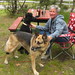 Jeanne Casey Photo 9