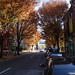 Stacy Kraus Photo 4