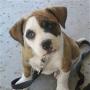 Aracely Caceres Photo 10
