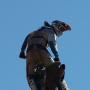Wayne Marsh Photo 26