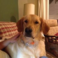 Mary Nation Photo 35