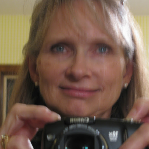 Connie Johnson Photo 10