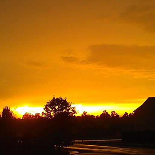 Shawn Crowe Photo 16
