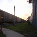 Dawn Busch Photo 15