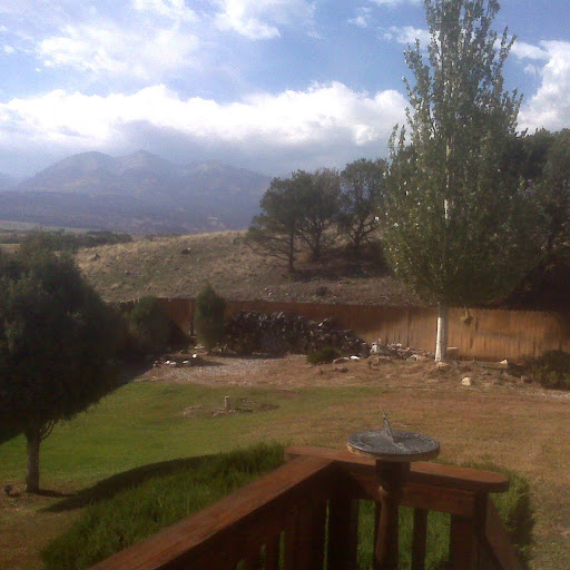 Diane Tuttle Photo 32