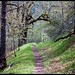 Weldon Good Photo 9