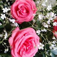 Denise Reis Photo 39