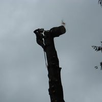 Barry Pearson Photo 8