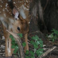 Liz Estes Photo 17