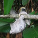 Arlene Wilder Photo 6