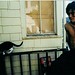 Jamie Steiner Photo 15