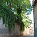 Luis Segovia Photo 31