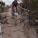 Rosemary Barnes Photo 15