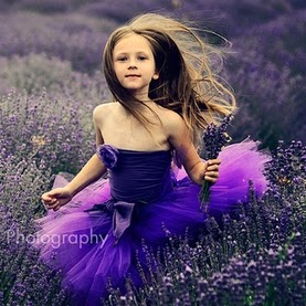 Donna Harvey Photo 30