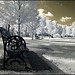 Louis Nichols Photo 39