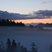 Eugene Wolf Photo 14