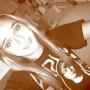 Sara Dailey Photo 21