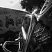 Bryan Sykes Photo 38