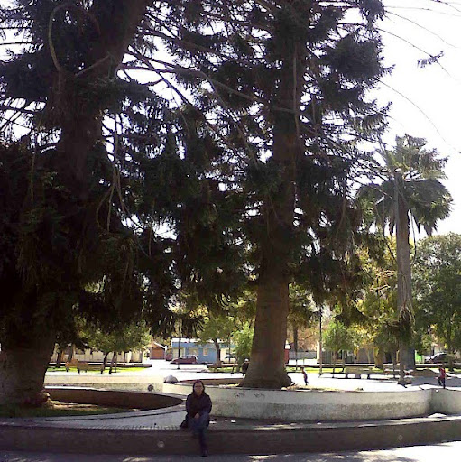 Ana Cordero Photo 39