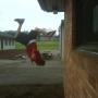Jeff Conklin Photo 19