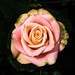 Carol Rosales Photo 9