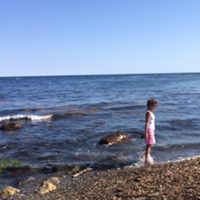 Cheryl Ferraro Photo 3