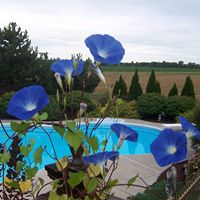 Carol Malott Photo 6