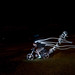 Aaron Conrad Photo 15
