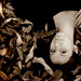 Andrea Lay Photo 24