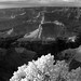 Clarence Sharp Photo 7