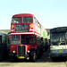 Michael Leyland Photo 24