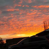 Susan Duffield Photo 8