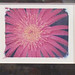 Kathryn Brown Photo 35