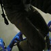 Blaine Newsom Photo 11