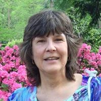 Susan Hawksley Photo 3