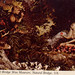 Virginia Eden Photo 4