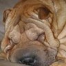 Debra Bowman Photo 19