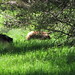 Larry Meadows Photo 31