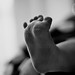 Jennifer Weis Photo 20