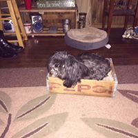 Kathy Kiser Photo 19