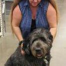 Debbie Sarver Photo 8