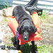 Becky Jennings Photo 20