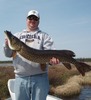 Todd Erickson Photo 16