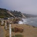 Ruthann Will Photo 6