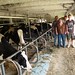 James Thiele Photo 22