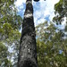 Margaret Brookes Photo 16
