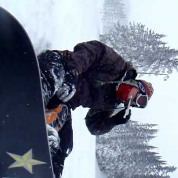 Mark Hoffmann Photo 22