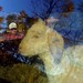 Kathleen Shearer Photo 20